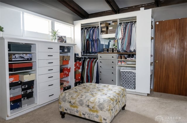 carpeted bedroom featuring beamed ceiling and a closet