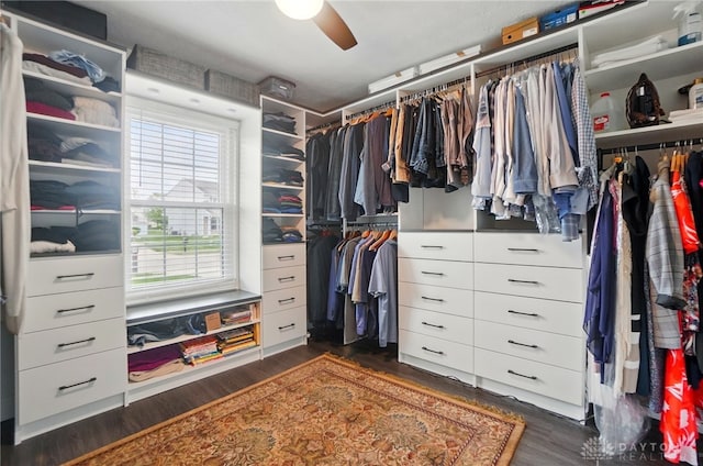 2481 Byers Ridge Dr, Miamisburg, OH 45342 - spacious closet featuring a ceiling fan and dark wood-style flooring