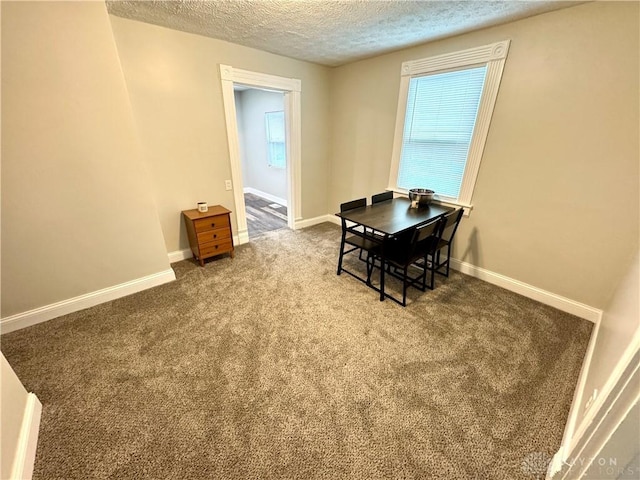 308 Park Ave, Harrison Twp, OH 45030 - carpeted dining area featuring baseboards and a textured ceiling