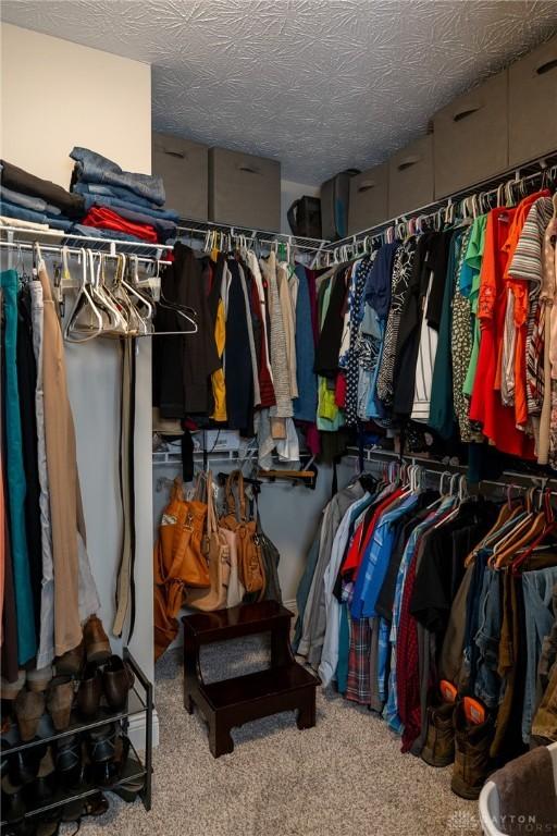 walk in closet featuring carpet floors