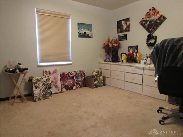 bedroom with carpet floors