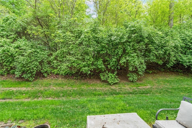 4266 Straight Arrow Rd, Beavercreek, OH 45430 - view of yard