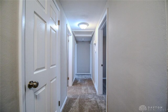 2004 N Reardon Dr, Dayton, OH 45420 - corridor with carpet flooring and baseboards