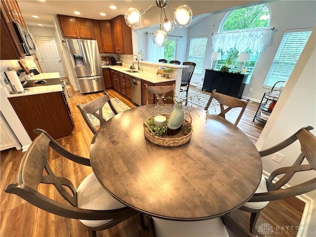 dining room with baseboards, a healthy amount of sunlight, and light wood-type flooring