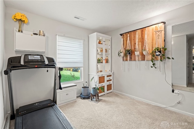 784 Marshall Dr, Xenia, OH 45385 - workout area featuring carpet and baseboards