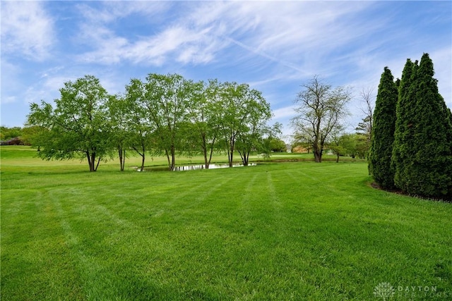 view of yard featuring a water view