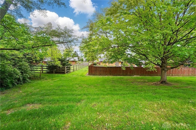 5741 Hithergreen Dr, Washington Twp, OH 45429 - view of yard