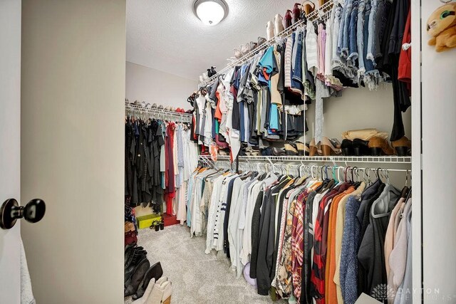 1737 Red Clover Dr, Lebanon, OH 45036 - spacious closet with carpet floors