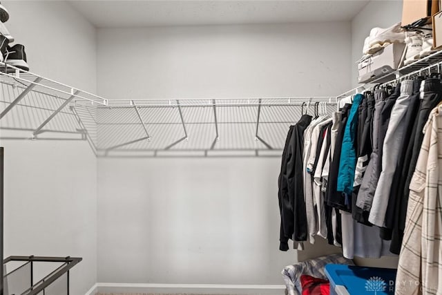 1194 Lisa Marie Dr, Xenia, OH 45385 - walk in closet with carpet floors