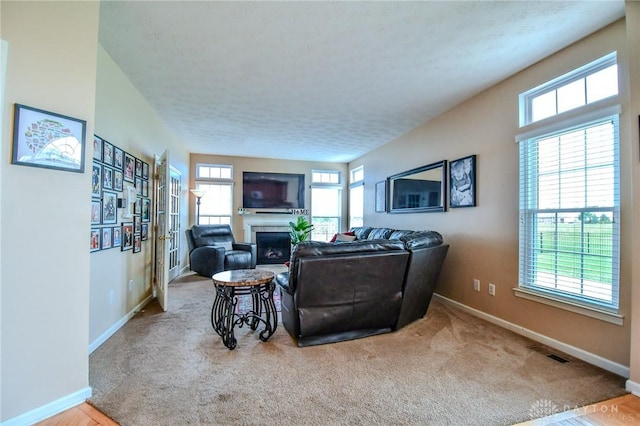 carpeted living room featuring plenty of natural light, a fireplace, baseboards, and a textured ceiling