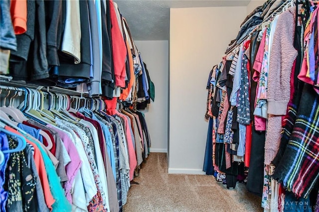 walk in closet featuring carpet flooring