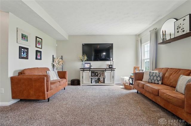 7221 River Birch St, Tipp City, OH 45371 - photo 13