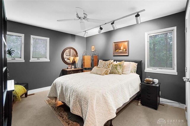 1900 Kresswood Cir, Kettering, OH 45429 - bedroom featuring carpet, track lighting, multiple windows, and baseboards