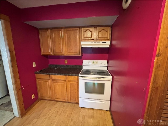 616 N Main St, Ansonia, OH 45303 - kitchen with white electric range oven, under cabinet range hood, light wood-style floors, and brown cabinets