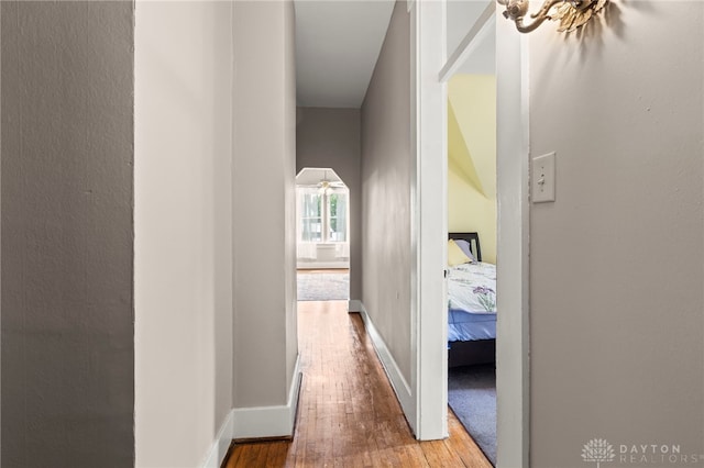 654 S Market St, Troy, OH 45373 - hallway with hardwood / wood-style floors and baseboards