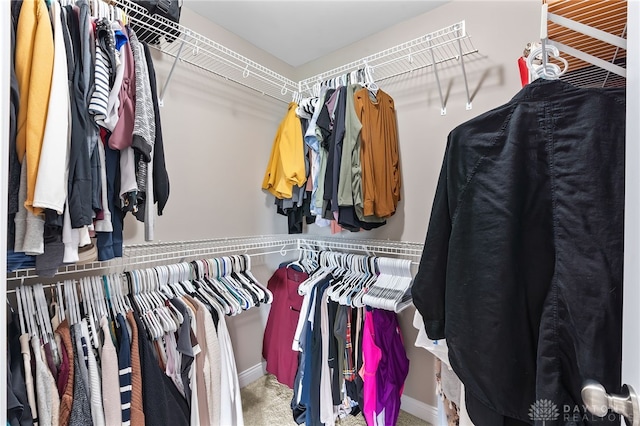 1591 Windham Ln, Beavercreek Township, OH 45385 - walk in closet with carpet