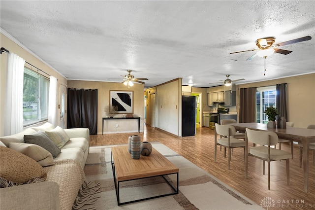 living area with a ceiling fan, a textured ceiling, light wood-style flooring, and ornamental molding
