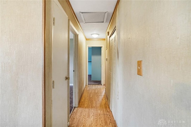 hallway with light wood finished floors and attic access