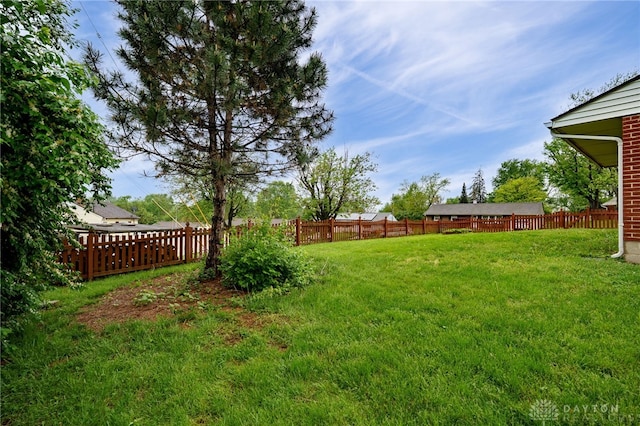view of yard