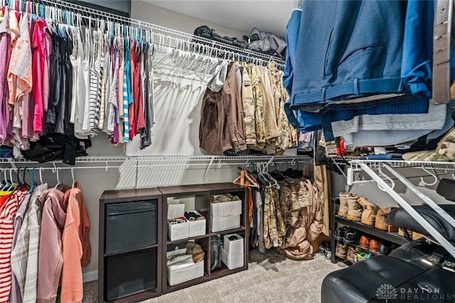 walk in closet with carpet floors