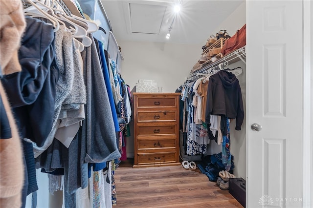 40 Shady Pines Ave, Springboro, OH 45066 - walk in closet featuring attic access and wood finished floors