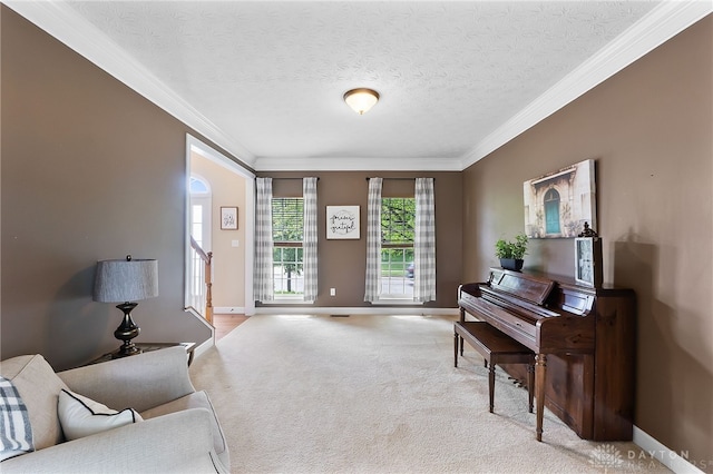 9378 Oak Brook Dr, Clearcreek Twp, OH 45458 - living area with ornamental molding, light carpet, baseboards, and a textured ceiling