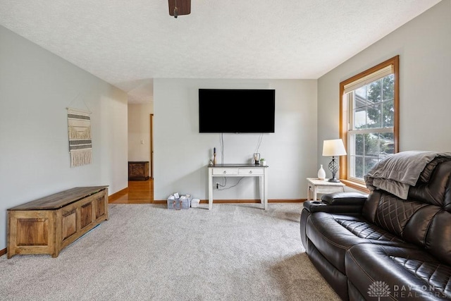 carpeted living area featuring baseboards and a textured ceiling