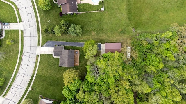 bird's eye view