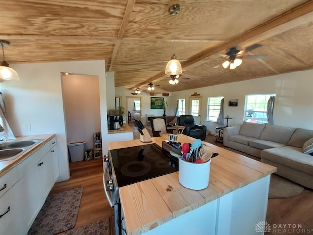 56 Rooster Hollow Rd, Blue Creek, OH 45616 - photo 5