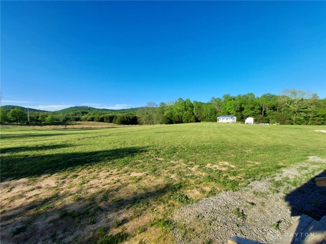 56 Rooster Hollow Rd, Blue Creek, OH 45616 - photo 32
