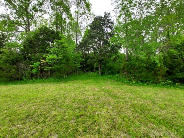 56 Rooster Hollow Rd, Blue Creek, OH 45616 - photo 35