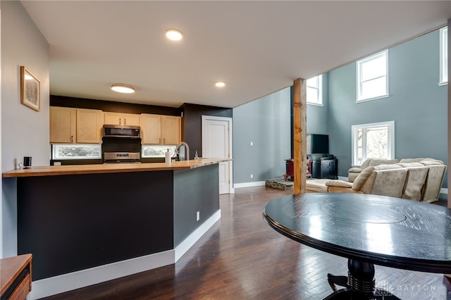 1803 Resor Rd, Fairfield, OH 45014 - kitchen featuring stainless steel appliances, wooden counters, a sink, baseboards, and dark wood-style floors