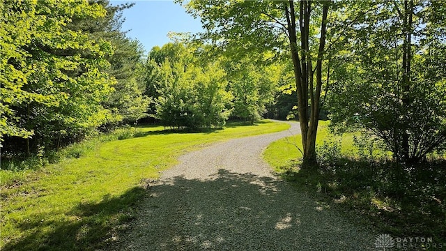 3161 Lincoln Rd, Waynesville, OH 45068 - photo 6