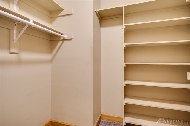 view of spacious closet