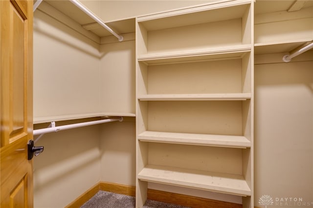 spacious closet with carpet flooring