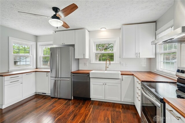 2917 California Ave, Dayton, OH 45419 - kitchen featuring butcher block countertops, appliances with stainless steel finishes, a sink, dark wood-style floors, and healthy amount of natural light