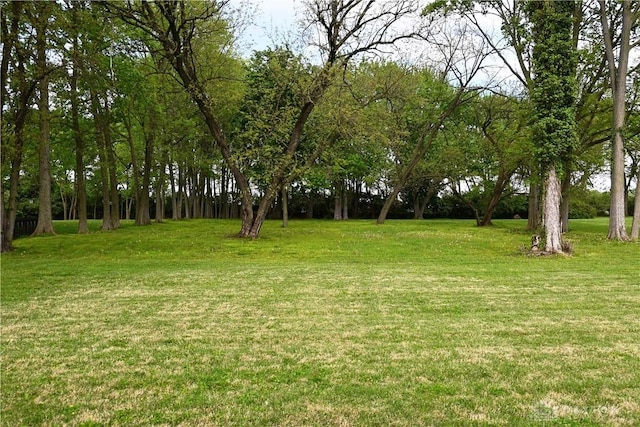 465 W Staunton Rd, Troy, OH 45373 - view of green lawn