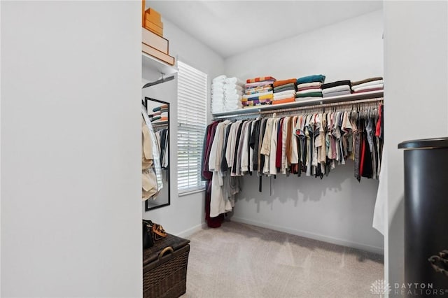 4061 Woodland Ridge Ct, Bellbrook, OH 45440 - spacious closet with carpet flooring