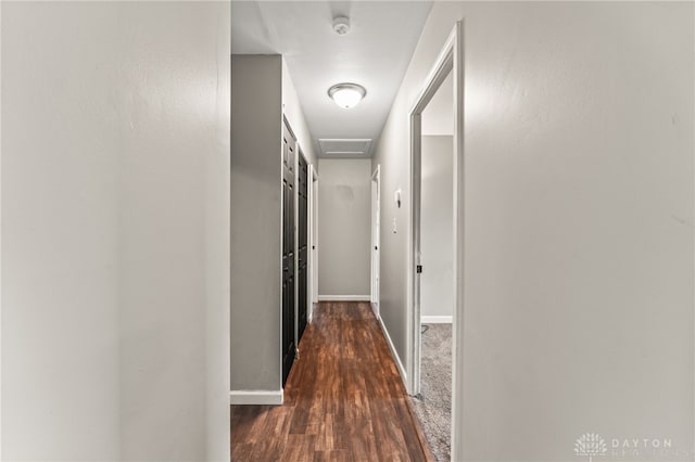 hall with baseboards, dark wood-style flooring, and attic access