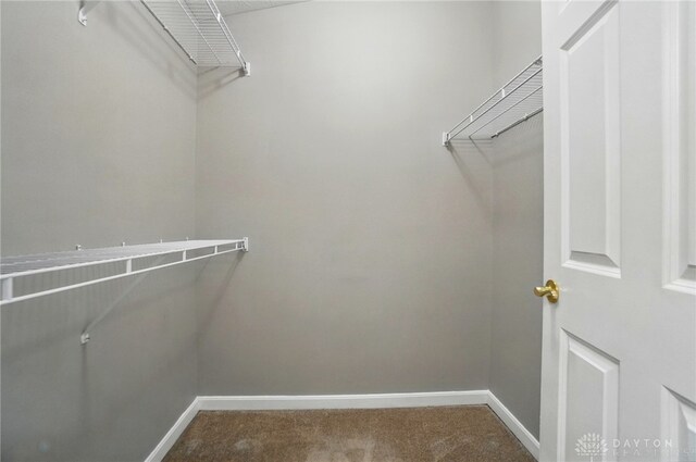 3128 Alexander Pl Unit 206, Beavercreek, OH 45431 - walk in closet featuring carpet floors