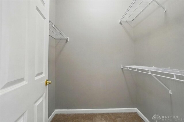 3128 Alexander Pl Unit 206, Beavercreek, OH 45431 - walk in closet featuring carpet flooring