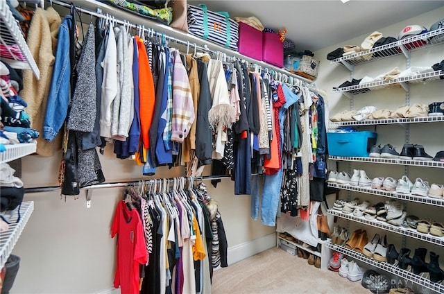 2731 Cleinview Ave Unit 2, Cincinnati, OH 45206 - walk in closet featuring carpet flooring