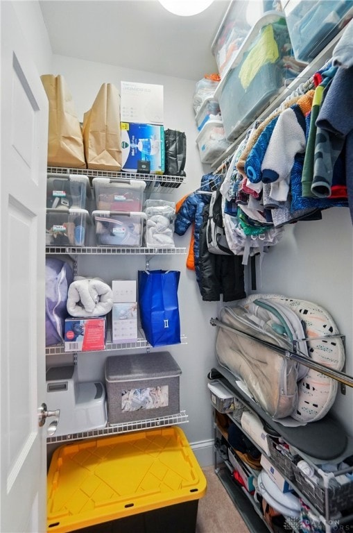 2731 Cleinview Ave Unit 2, Cincinnati, OH 45206 - view of storage