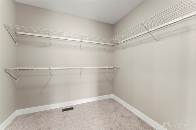 755 W Bentley Cir, Troy, OH 45373 - walk in closet featuring carpet flooring
