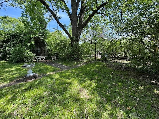 416 N Conover St, Dayton, OH 45402 - view of green lawn