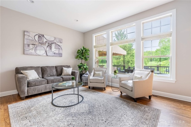 living area with baseboards, healthy amount of natural light, and wood finished floors