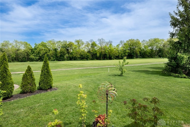 view of green lawn featuring view of wooded area