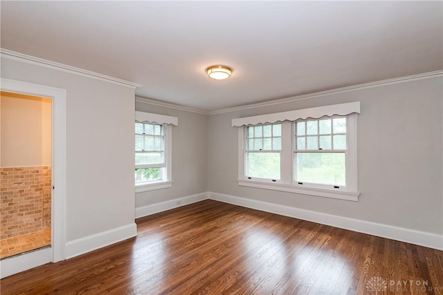 511 Forest Ave, Dayton, OH 45405 - photo 30