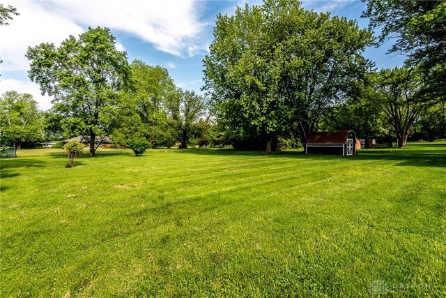 6399 Kimberly Dr, Fairfield Twp, OH 45011 - view of grassy yard featuring a storage shed, an outbuilding, and view of wooded area