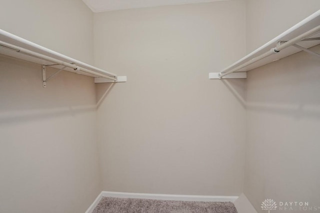7616 Pons Ln, West Chester, OH 45069 - walk in closet featuring carpet floors